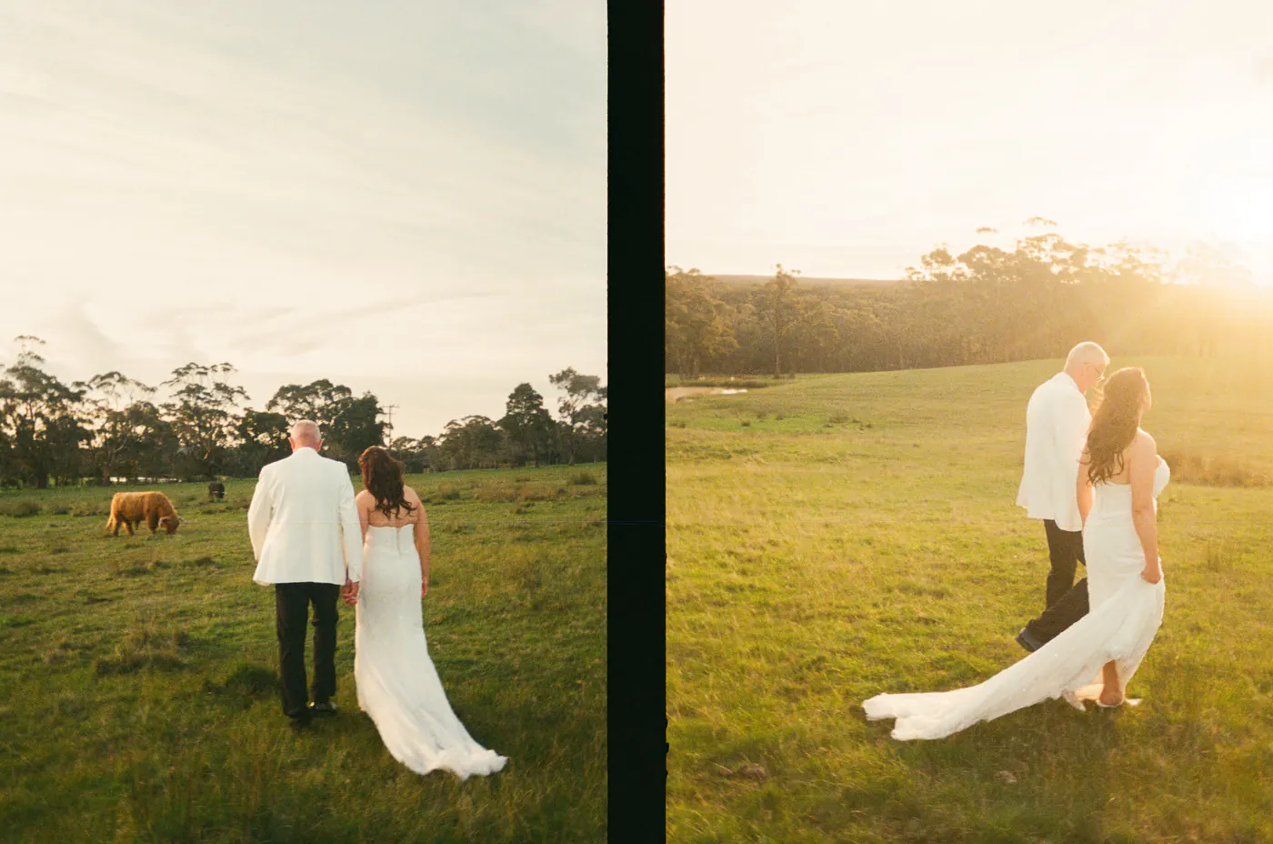 Film photographs of a couple in a paddock